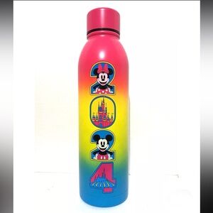 New Disney Park 2024 Neon Color Mickey Minnie Metal Drinking Tumbler